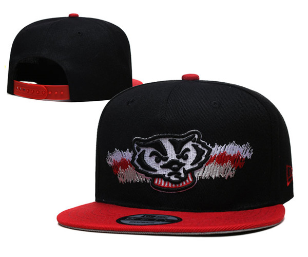 Wisconsin Badgers Stitched Snapback Hats 003 - Click Image to Close